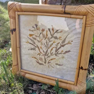 Vintage Bambu Tavla med Pressad Havsflora – Signerad Paulli