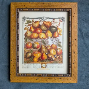 Vintage Botanisk Fruktillustration 'Vår 1732' i Träram