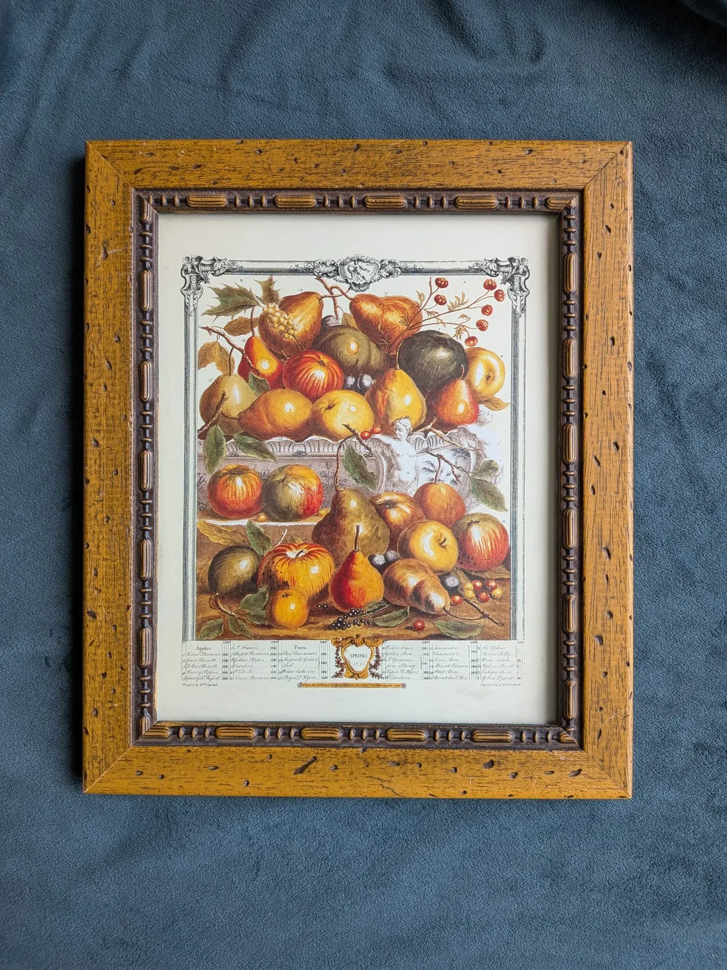 Vintage Botanisk Fruktillustration 'Vår 1732' i Träram