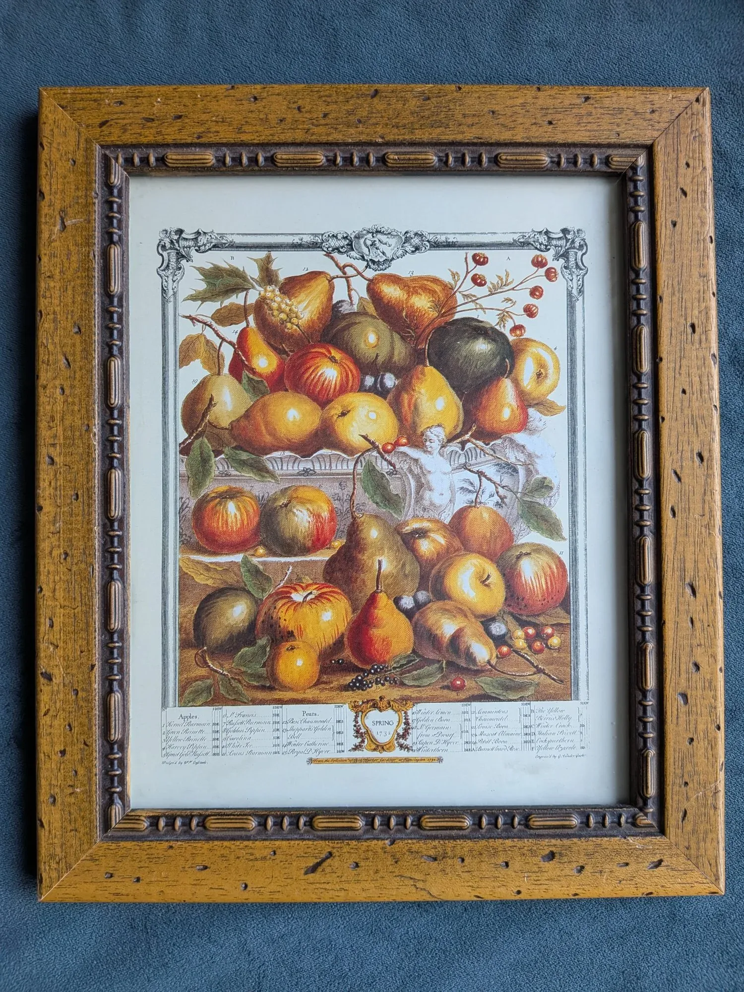 Vintage Botanisk Fruktillustration 'Vår 1732' i Träram - Bild 5