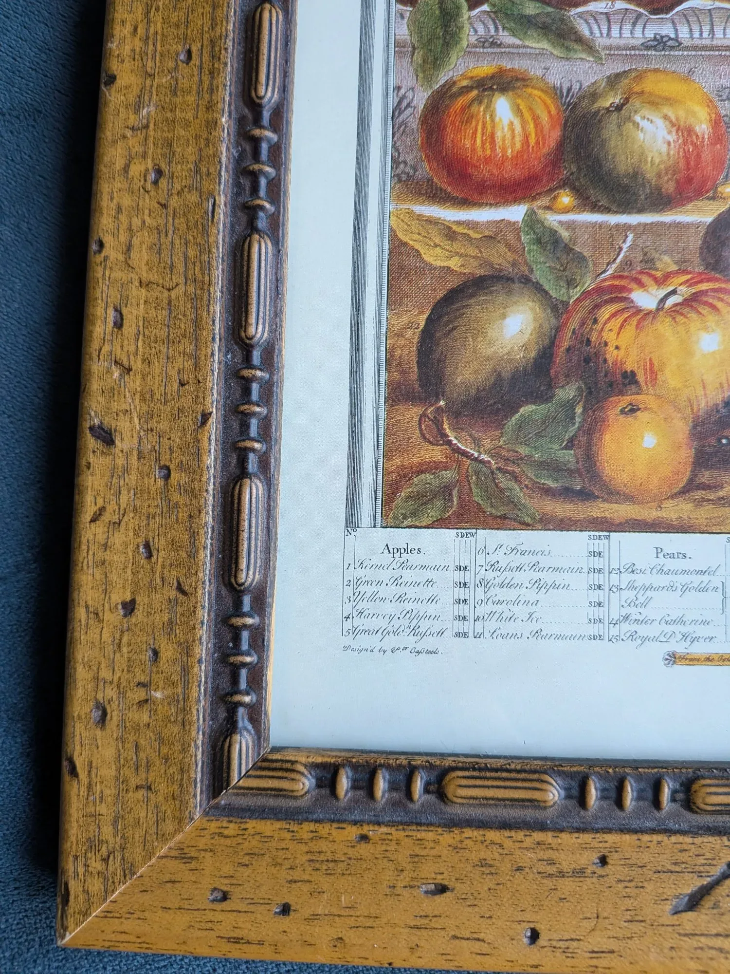 Vintage Botanisk Fruktillustration 'Vår 1732' i Träram - Bild 3