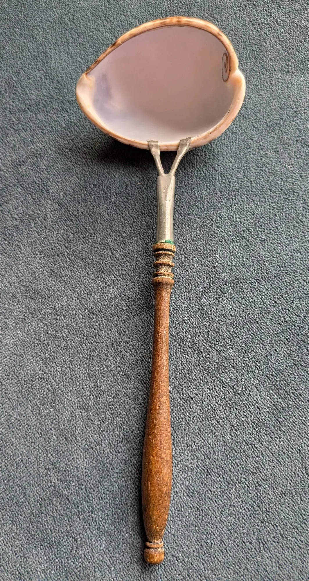 Exotisk Skalprydnad med Trähandtag - Bild 9