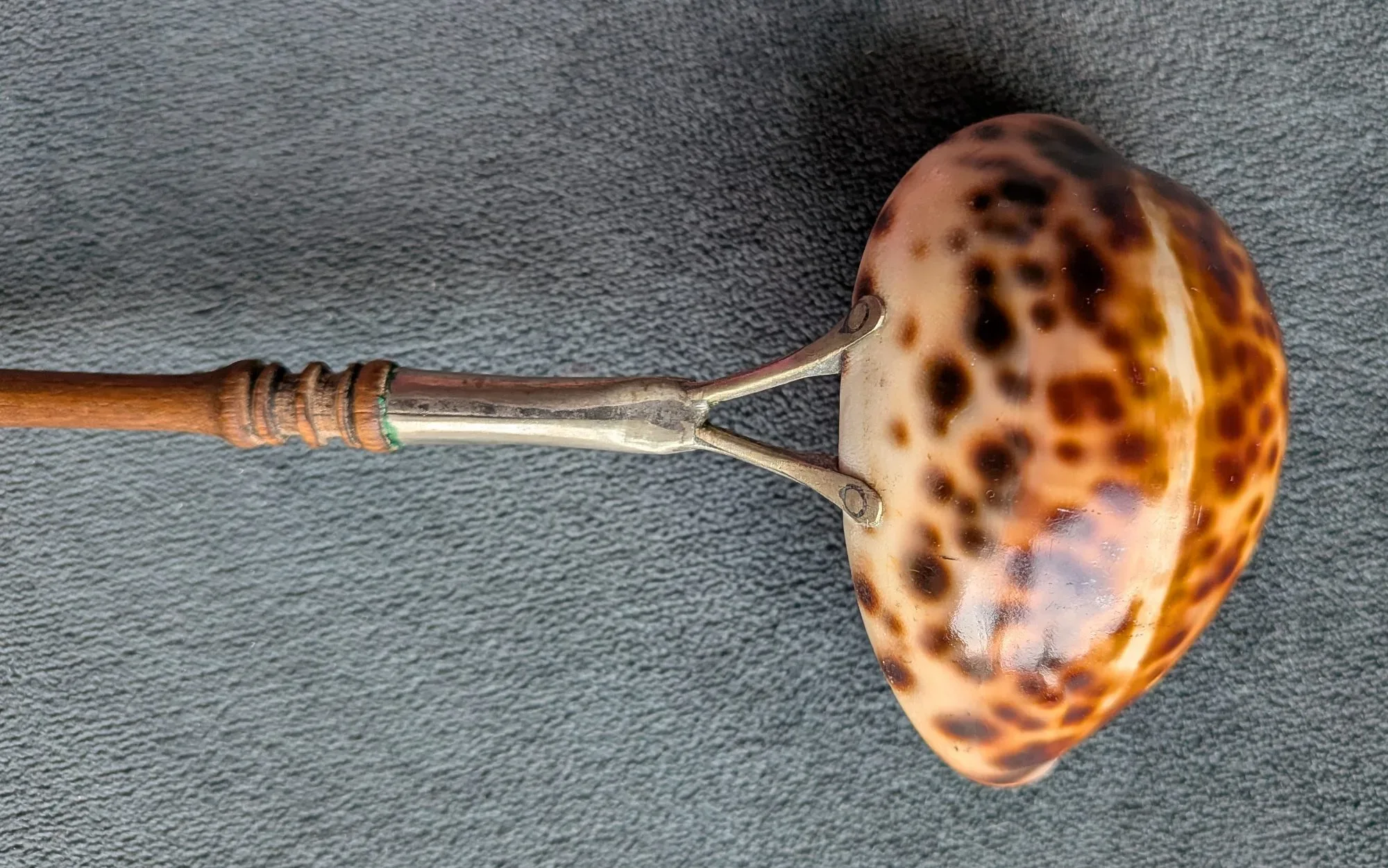 Exotisk Skalprydnad med Trähandtag - Bild 5